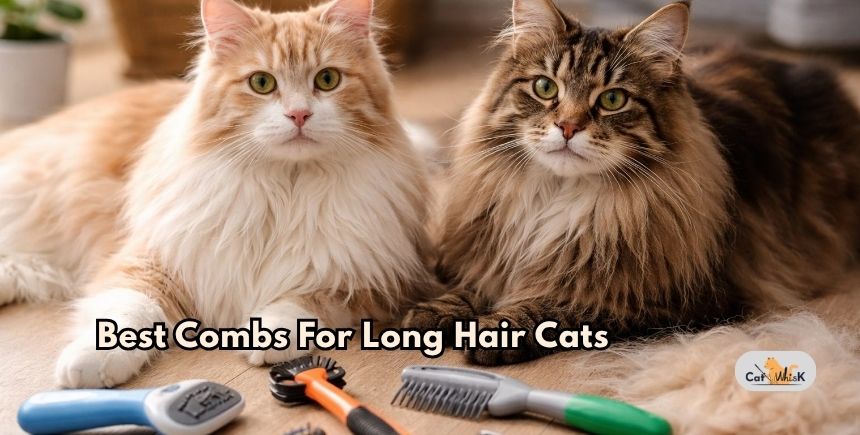 best combs for long hair cats