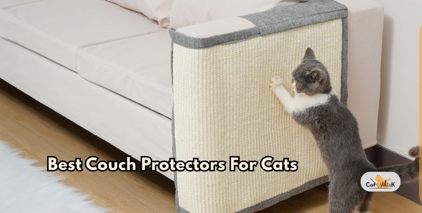 best couch protectors for cats