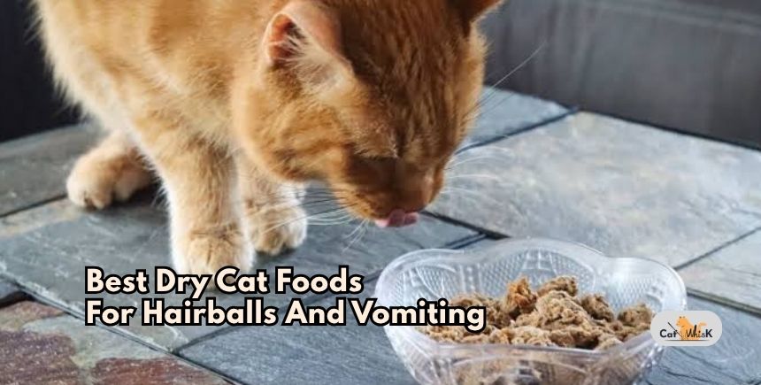 best dry cat foods for hairballs and vomiting
