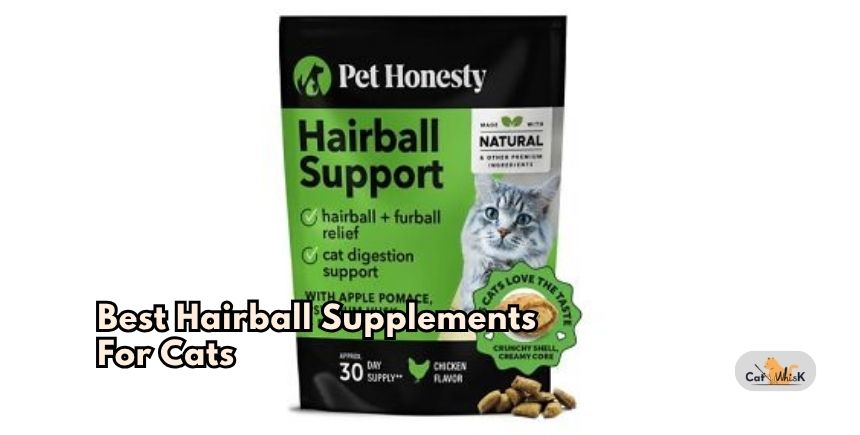 best hairball supplements for cats