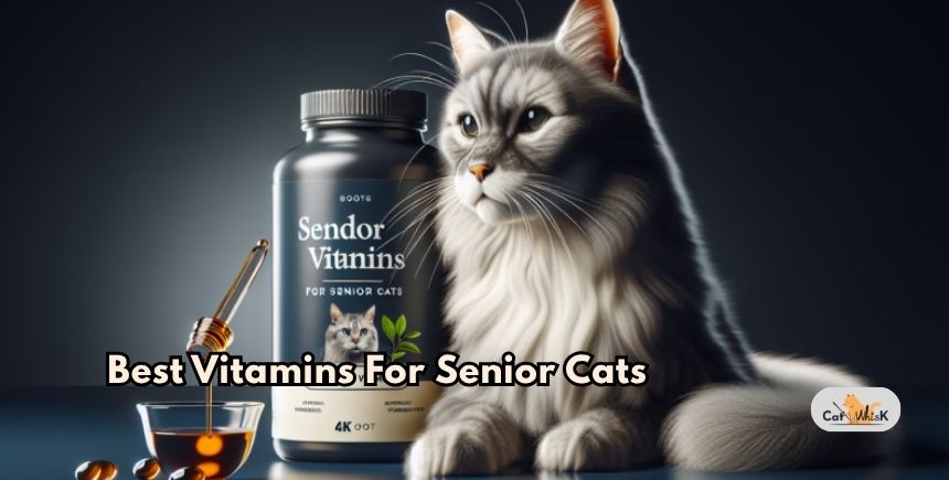 best vitamins for senior cats