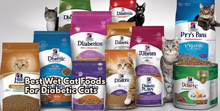 best wet cat foods for diabetic cats