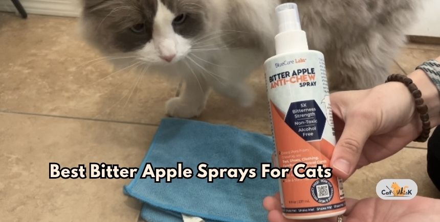 best bitter apple sprays for cats