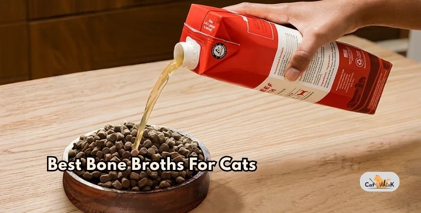 best bone broths for cats
