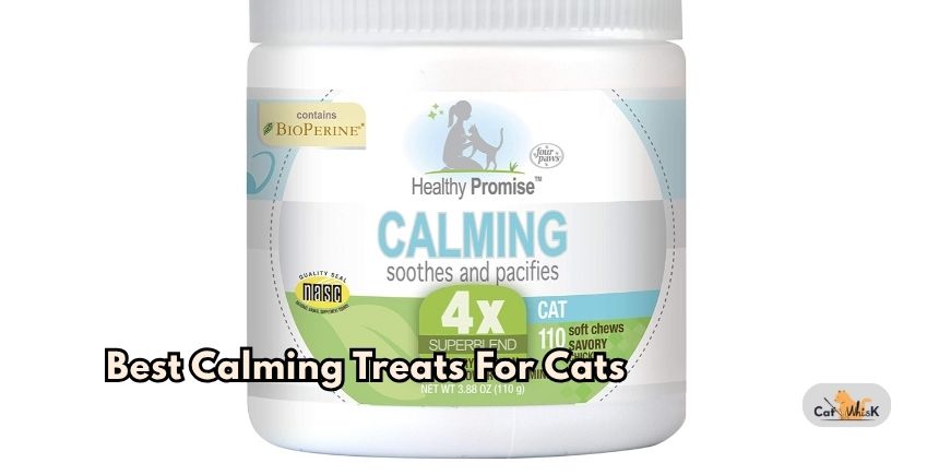 best calming treats for cats