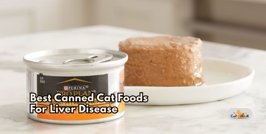 best canned cat foods for liver disease