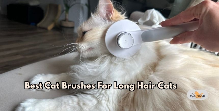 best cat brushes for long hair cats