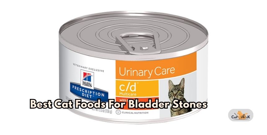 best cat foods for bladder stones