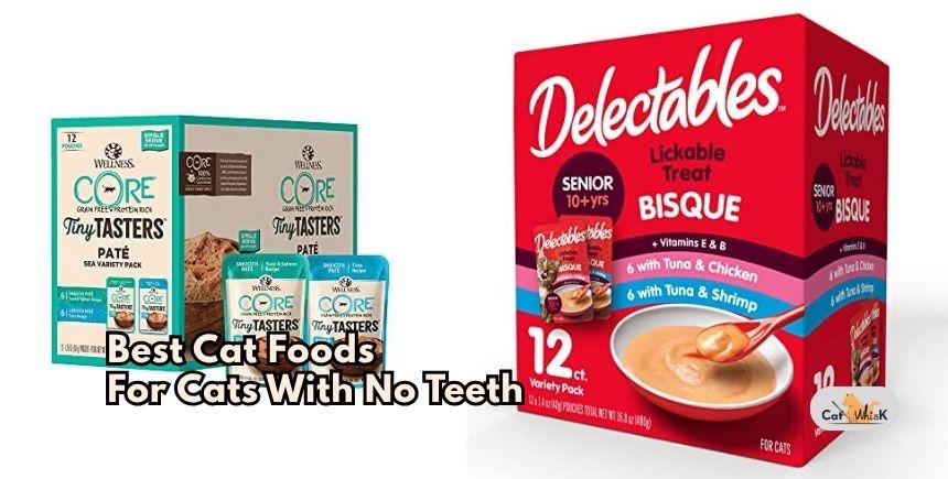 best cat foods for cats with no teeth