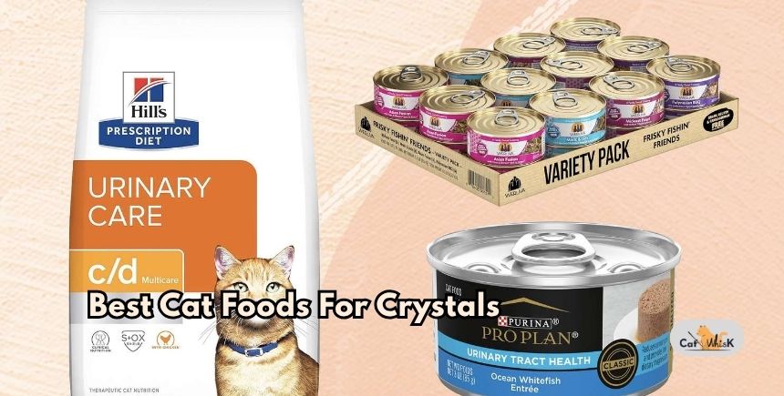 best cat foods for crystals