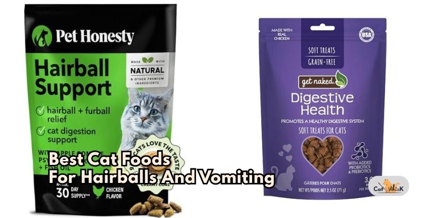 best cat foods for hairballs and vomiting