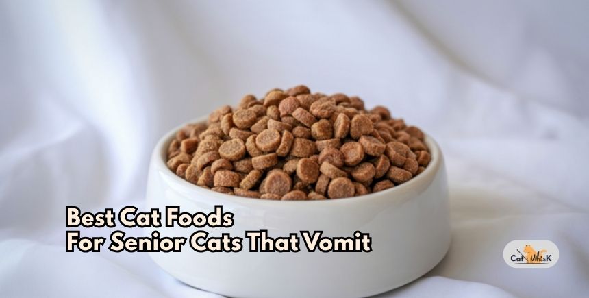 best cat foods for senior cats that vomit