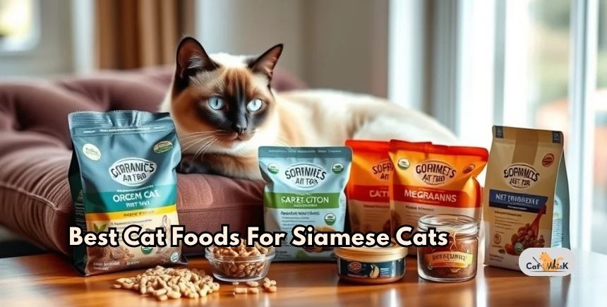best cat foods for siamese cats