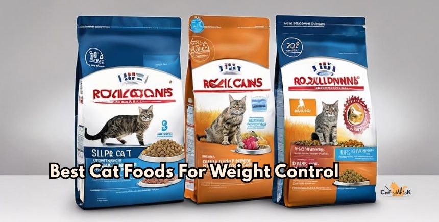 best cat foods for weight control