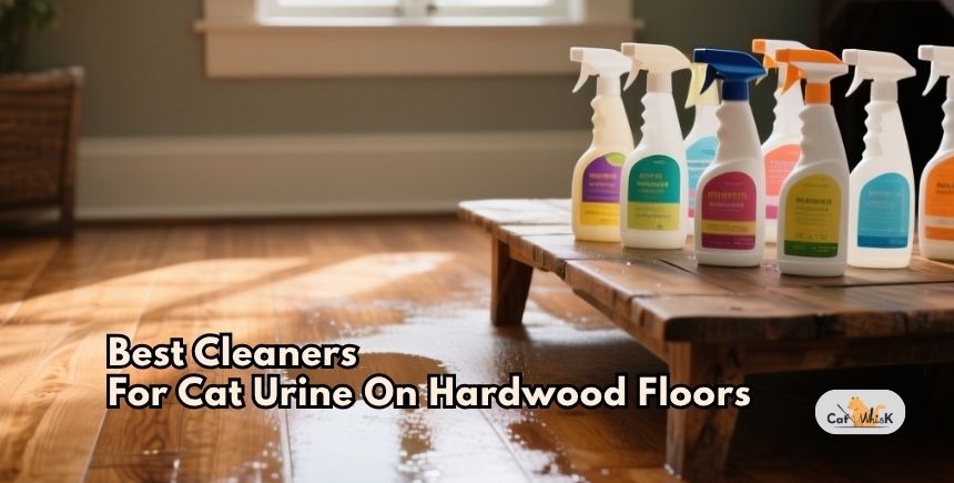 best cleaners for cat urine on hardwood floors