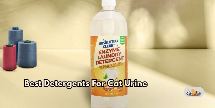 best detergents for cat urine