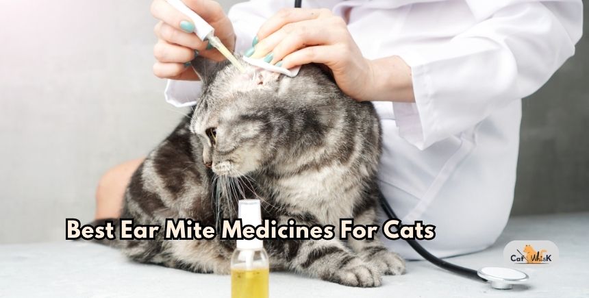 best ear mite medicines for cats