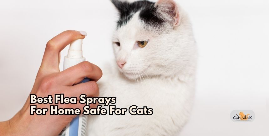 best flea sprays for home safe for cats