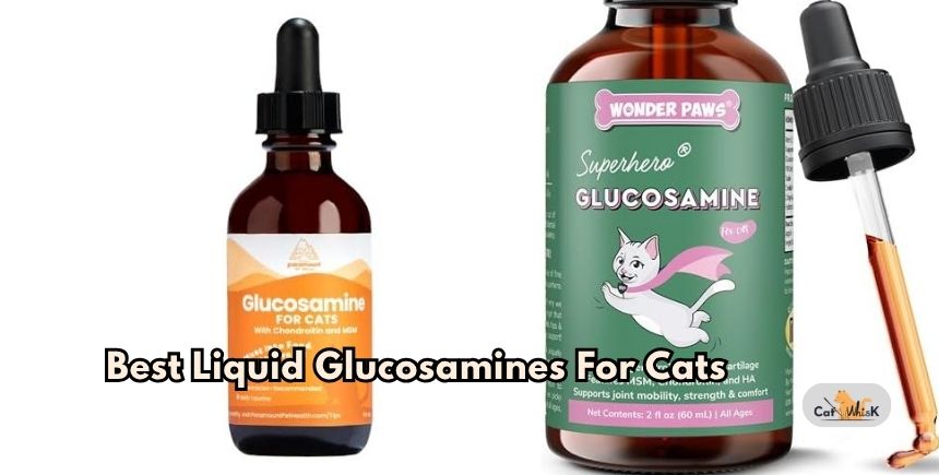 best liquid glucosamines for cats