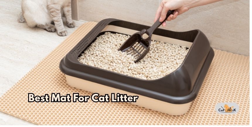 best mat for cat litter