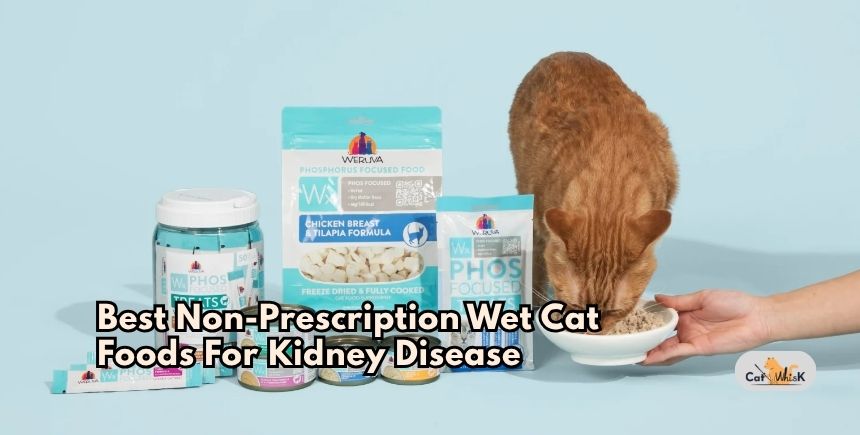best non-prescription wet cat foods for kidney disease