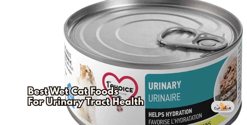 best wet cat foods for urinary tract health